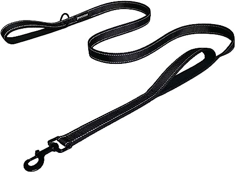 favorite leash for labradoodles in colorado favorite leash for goldendoodles in colorado