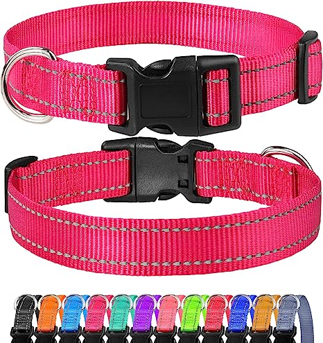 favorite puppy collar for labradoodles in colorado favorite puppy collar for goldendoodles in colorado