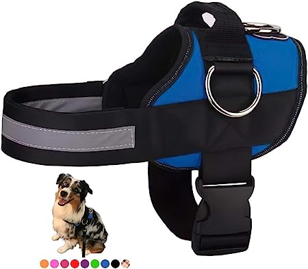 favorite puppy harness for labradoodles in colorado favorite puppy harness for goldendoodles in colorado